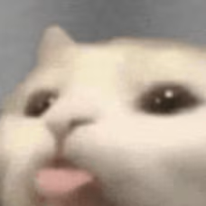 Blep_Cat emote