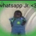 whatsappJr static emote