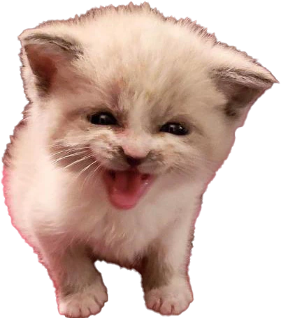 Cat_Hiss emote