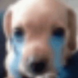 marc avatar