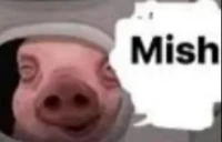 mish emote