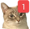 catping emote