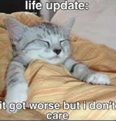 lifeupdate emote