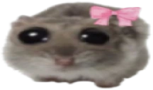 ohCute emote