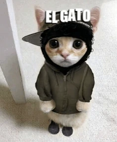 12345 emote