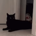 CE_Gone3 emote