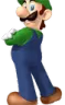 luig emote