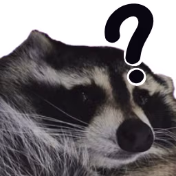 Racoonhuh emote