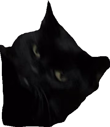 rly emote