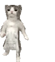 catGroove emote