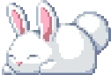 bunny emote