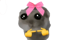 MirEgalSagDu emoji