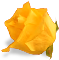 flower_yellow_rose emoji