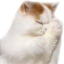 Pray emote