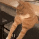 MEWING emote
