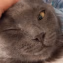 CE_Wink emote