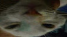 ppxun emote