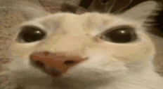 otagboom emote