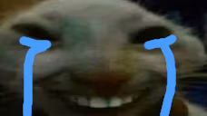 xddcry emote