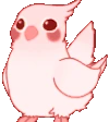 Birb emote