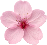 Pinksakuraflower emoji