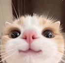 3 static emote