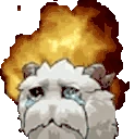 Poroexplode emote