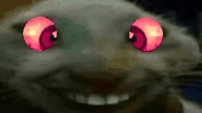 epp emote