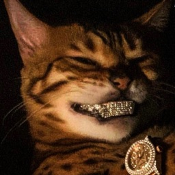 phpremium avatar