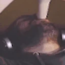 piwko emote