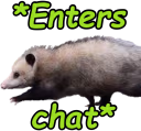 opossum_entering emote