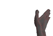 slapTime emote