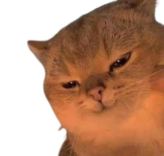 Cat_evil emote