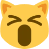 Cat_Exicted emote