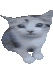 Lalacat animated emote