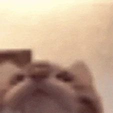 Cat_Licks_Mouth emote