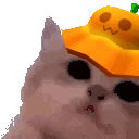 kittyJam emote