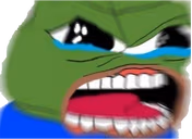 NOOOYOUCANT emote