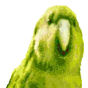 PartyParrot emote
