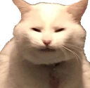 CE_Squint emote
