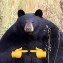 ShyBear emoji