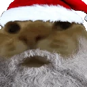 NoNo emote