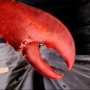 PantsCrab emote
