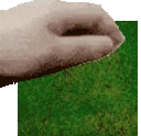touchgrass emote