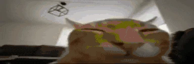 buhFlipExplode emote