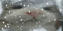 Freezing emote