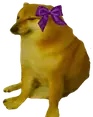 cheemsgirl emote