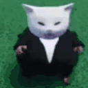catWalk animated emote