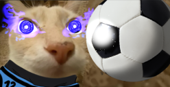 dosegoist