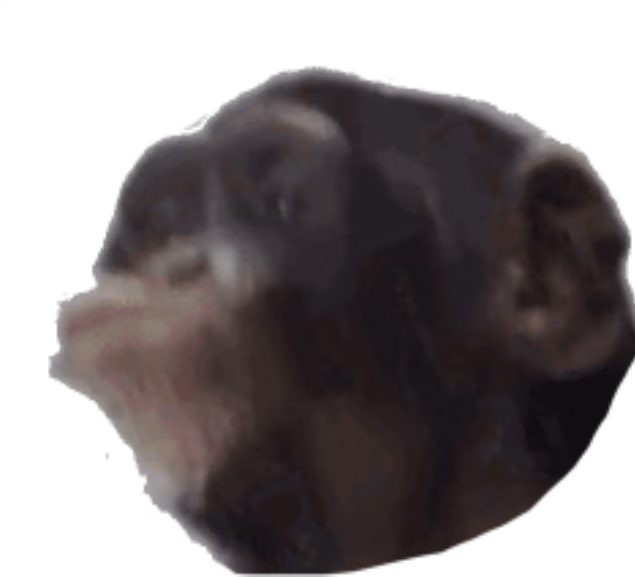 monke_pog emote